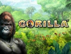 online parlay betting sites